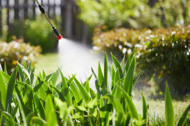 Tamper-Resistant Bait Stations for Rodents in Norlina