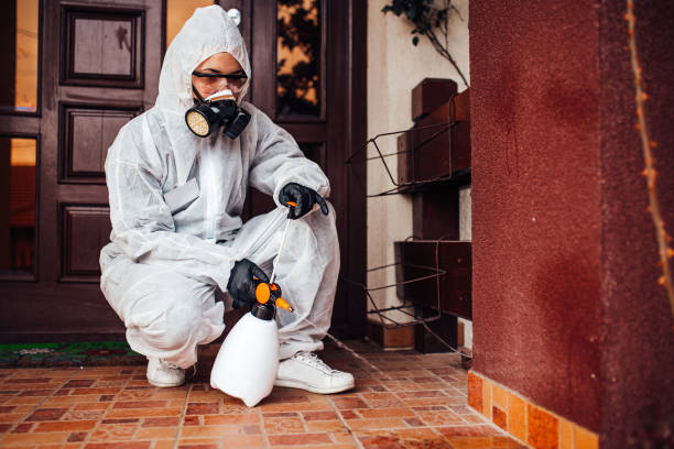 Attic and Crawl Space Rodent Treatment in Norlina